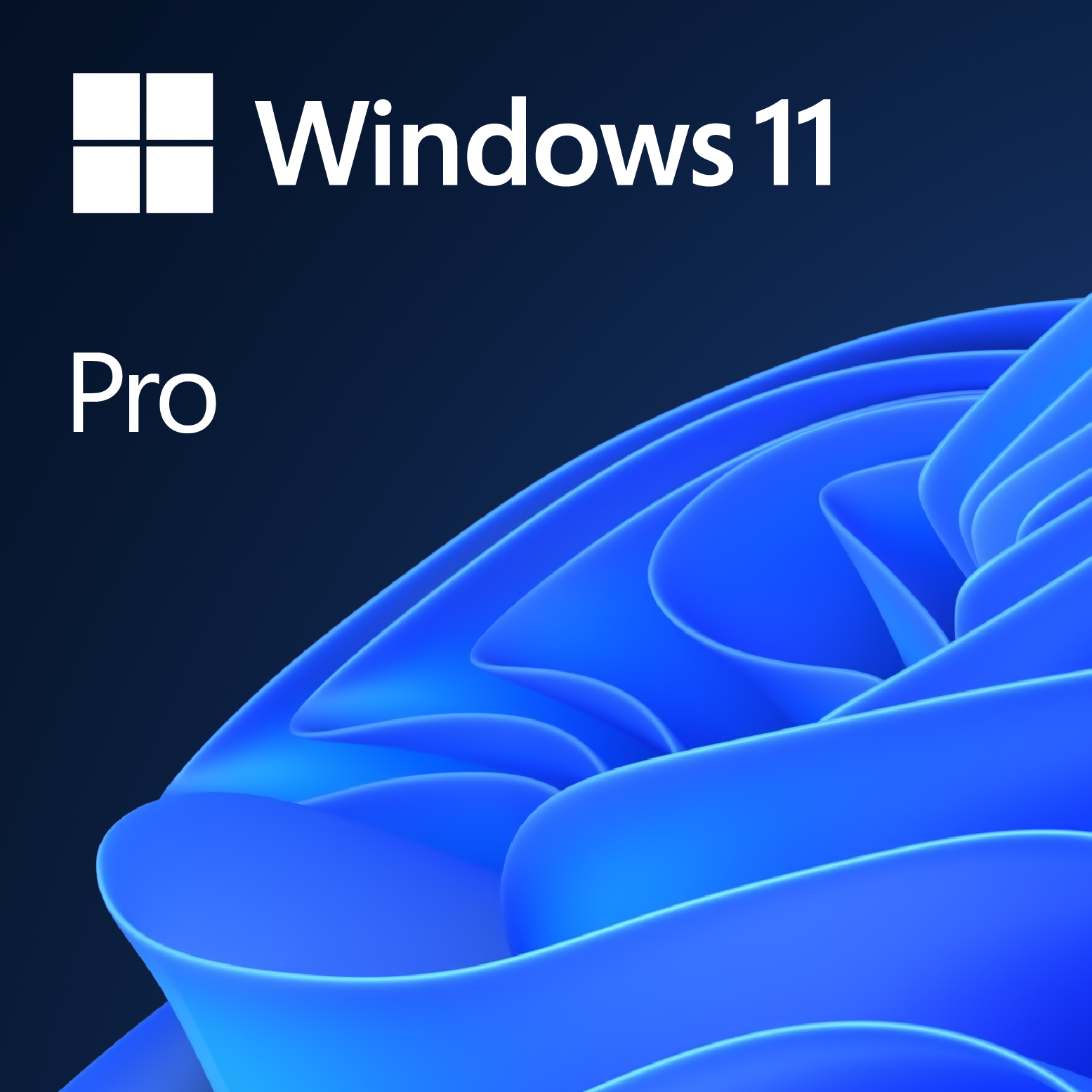 Nhận biết sản phẩm Window 11 Pro chính hãng